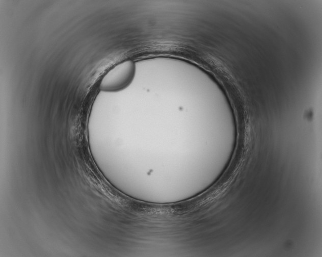 X0000115721210200912031543