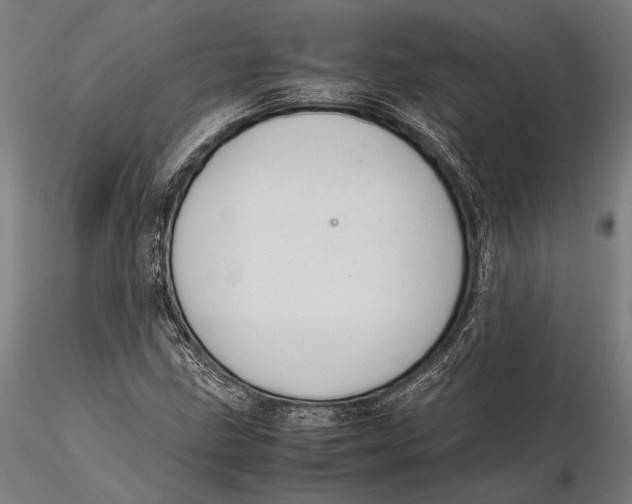 X0000115721211200912031543