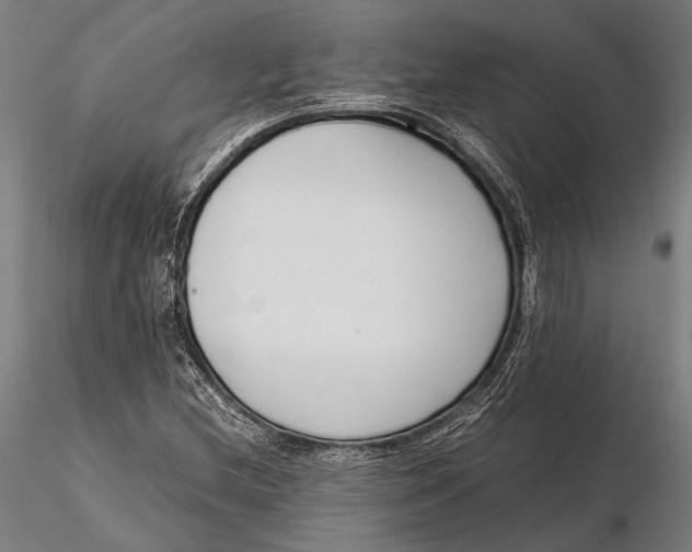X0000115721212200912031543