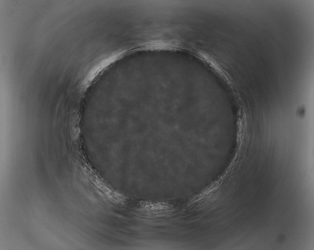 X0000115721213200912031543