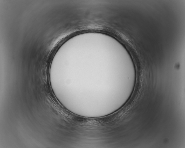 X0000115721214200912031543