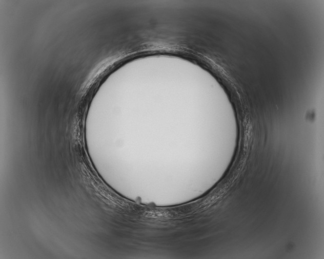 X0000115721215200912031543