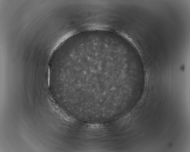 X0000115721219200912031543