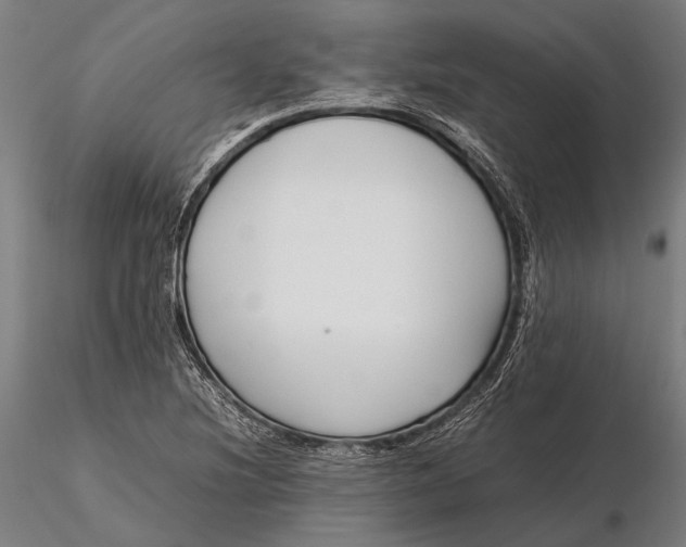 X0000115721220200912031543