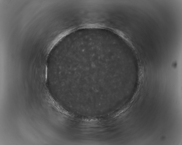 X0000115721221200912031543