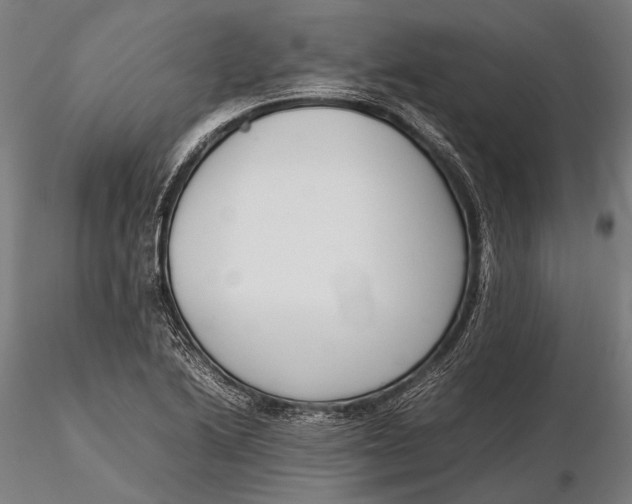 X0000115721222200912031543