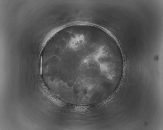 X0000115721223200912031543