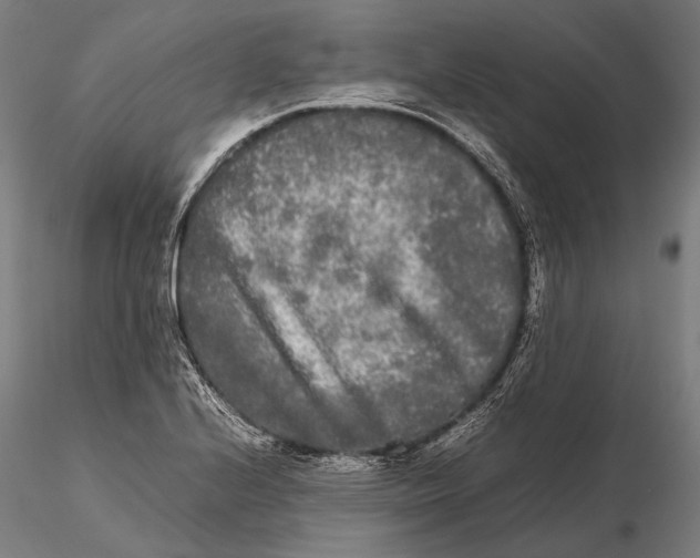 X0000115721224200912031543