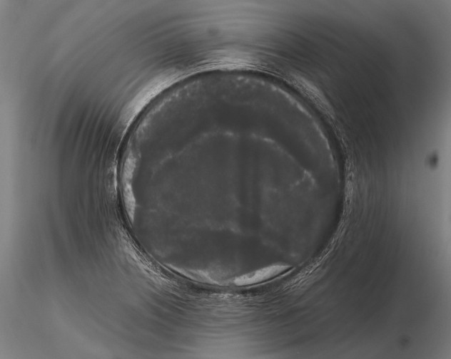 X0000115721226200912031543