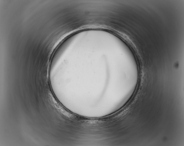 X0000115721228200912031543