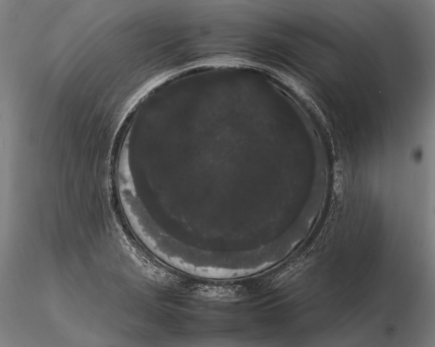 X0000115721229200912031543