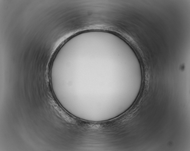 X0000115721230200912031543