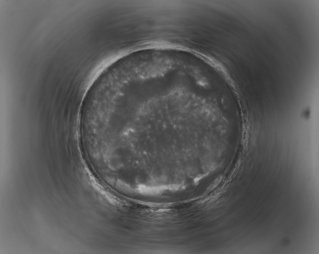 X0000115721231200912031543