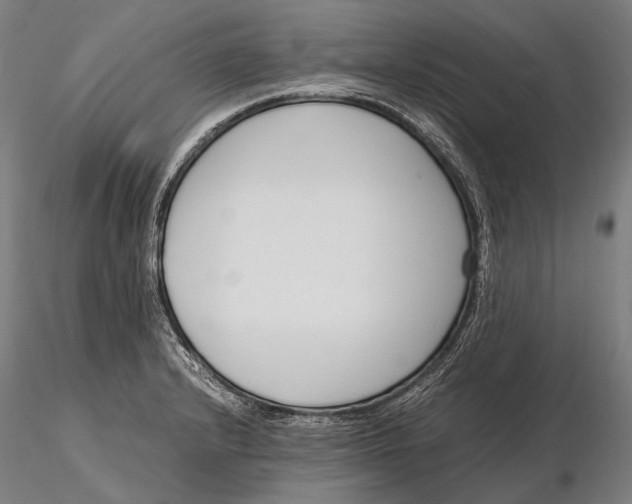 X0000115721232200912031543