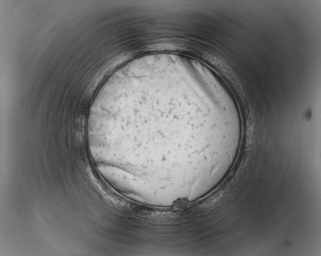 X0000115721233200912031543
