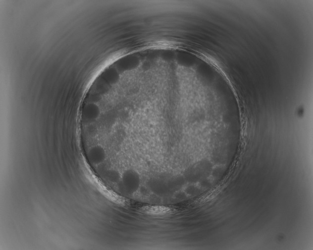 X0000115721235200912031543