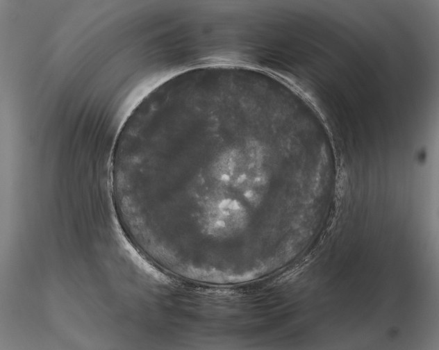 X0000115721239200912031543