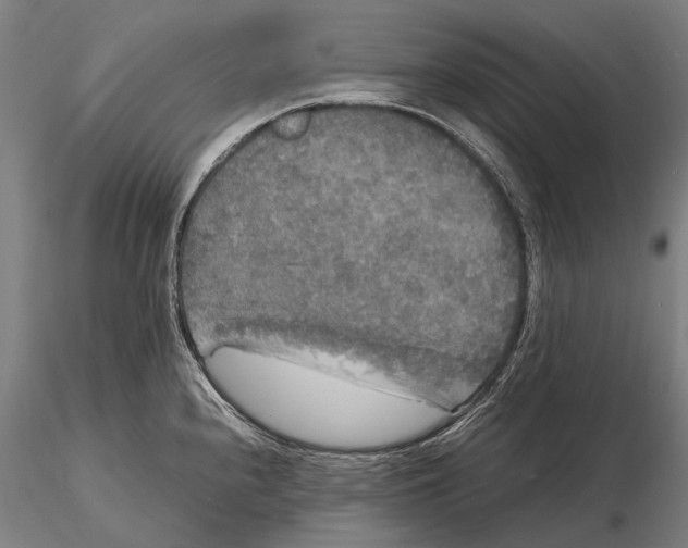X0000115721240200912031543