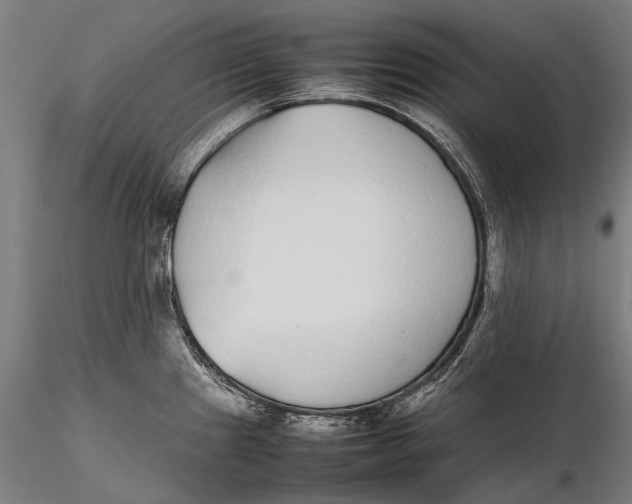 X0000115721241200912031543