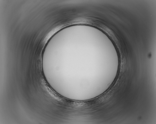 X0000115721242200912031543