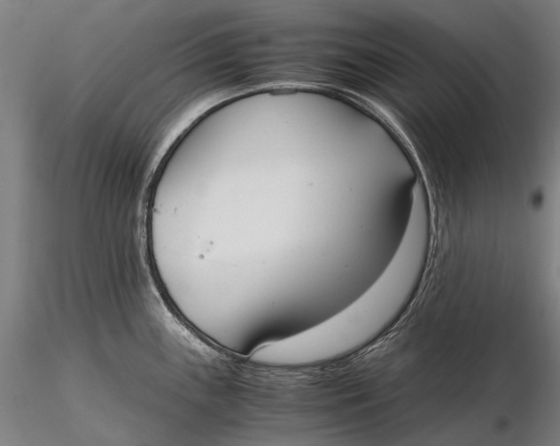 X0000115721243200912031543