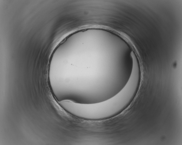 X0000115721244200912031543