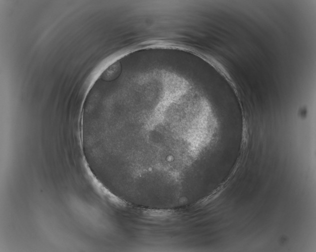 X0000115721247200912031543