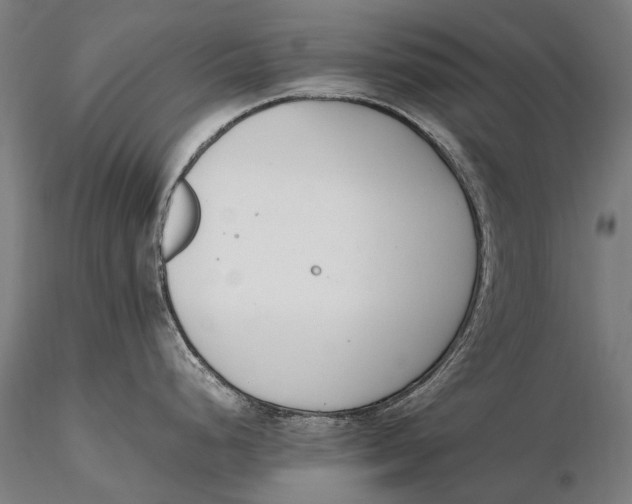 X0000115721248200912031543