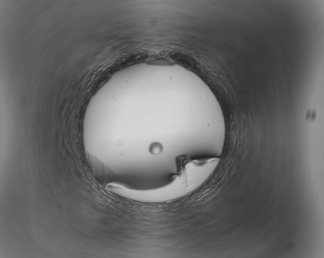 X0000115721249200912031543