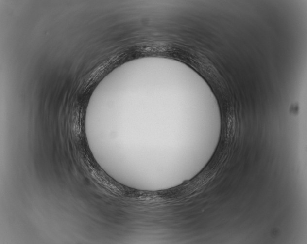 X0000115721250200912031543