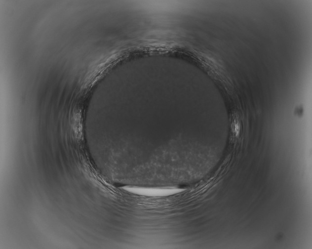 X0000115721252200912031542