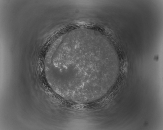 X0000115721253200912031542