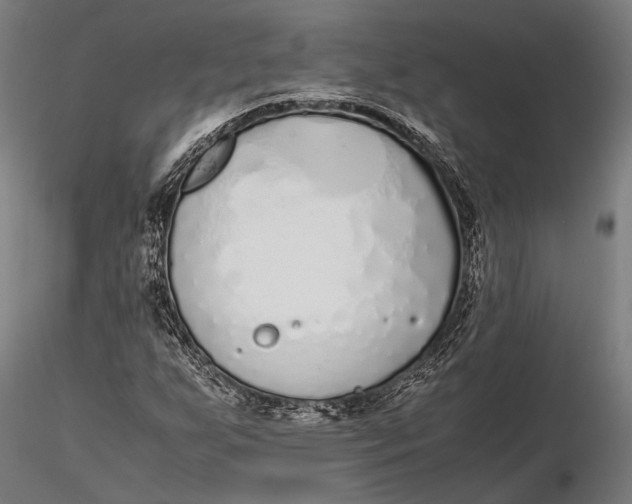 X0000115721255200912031542