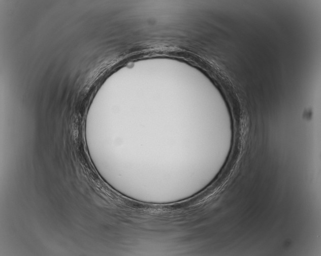 X0000115721257200912031542