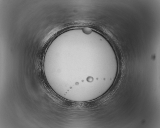 X0000115721259200912031542