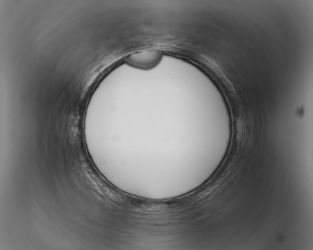 X0000115721260200912031542