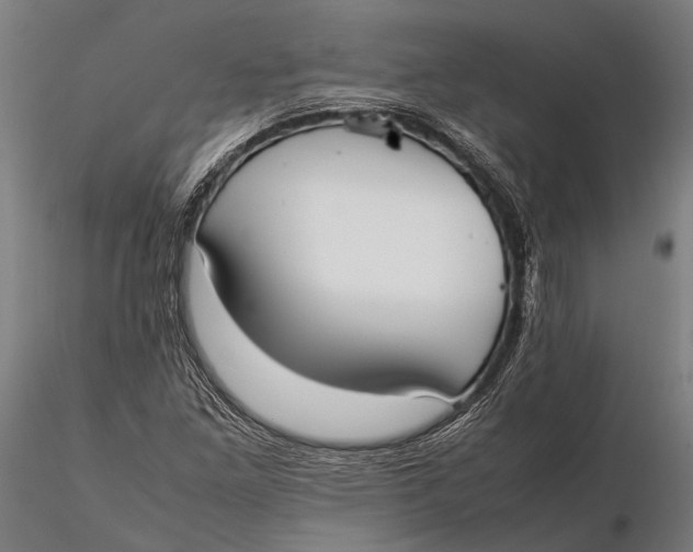 X0000115721261200912031542