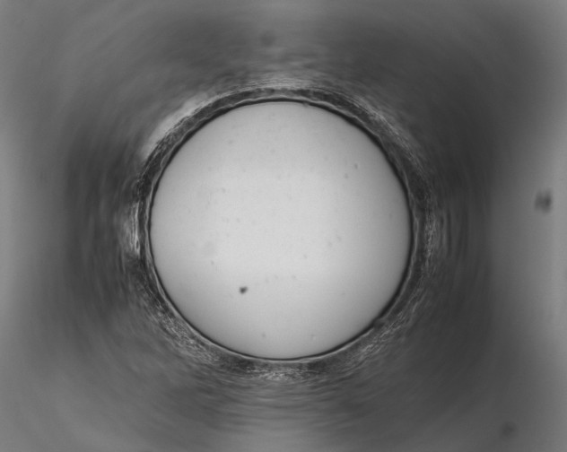 X0000115721262200912031542