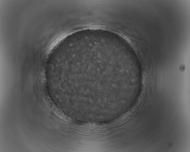X0000115721263200912031542