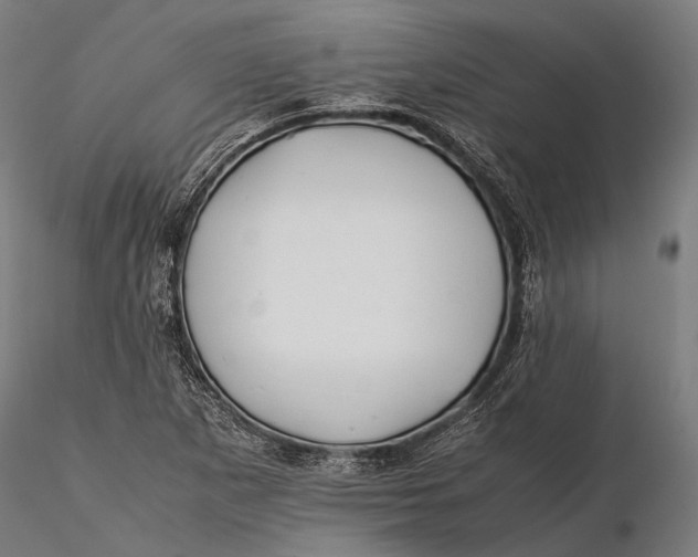 X0000115721265200912031542
