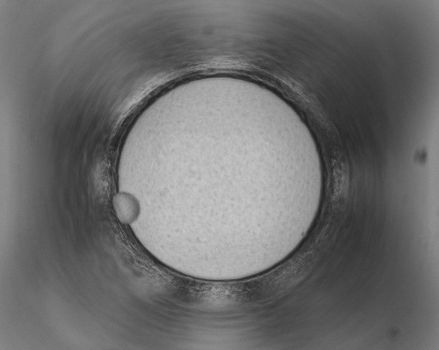 X0000115721266200912031542