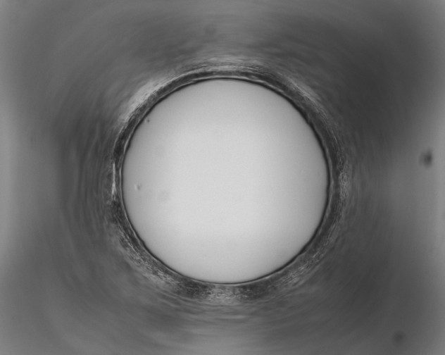 X0000115721267200912031542