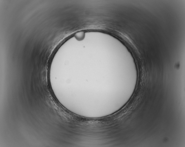 X0000115721268200912031542