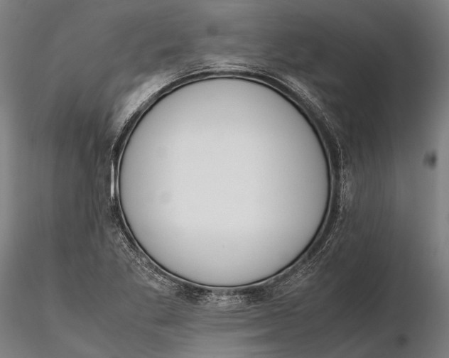 X0000115721269200912031542