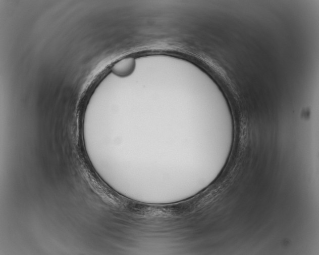 X0000115721270200912031542