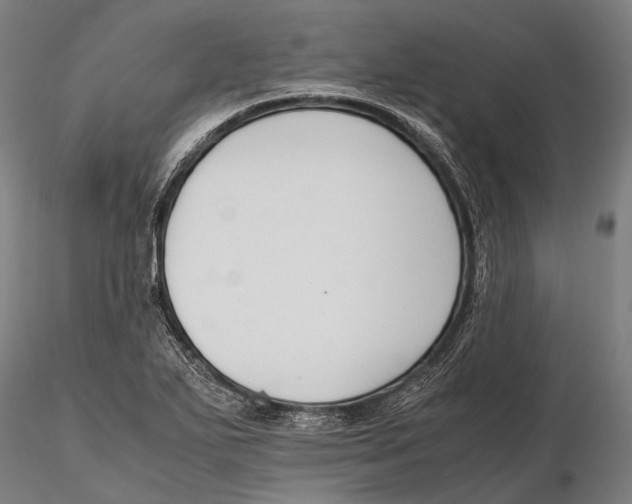 X0000115721271200912031542