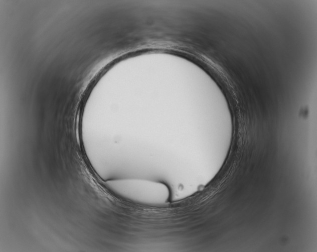 X0000115721272200912031542