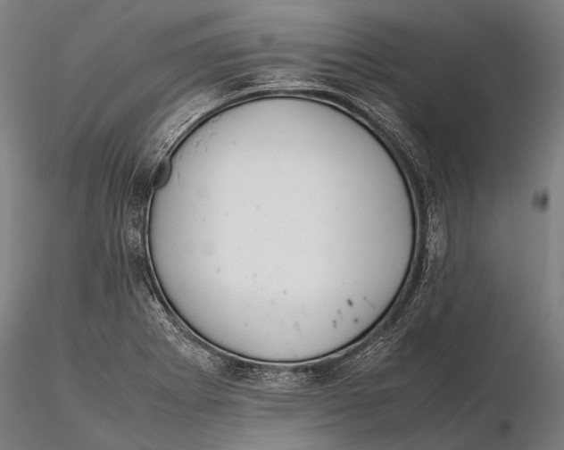 X0000115721273200912031542