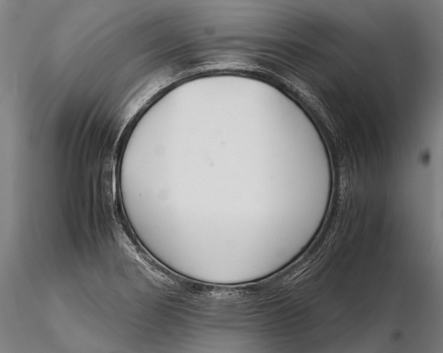 X0000115721274200912031542