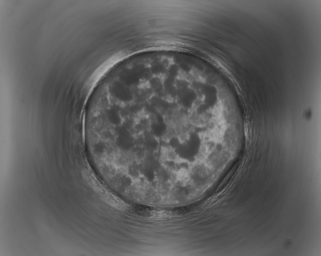 X0000115721275200912031542
